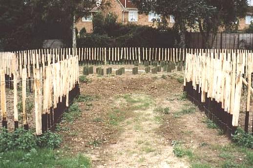 [ Human Sundial, using Wood and Concrete ]